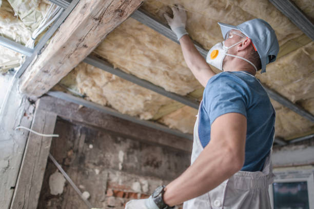 Best Geographic-Specific Insulation Services in Cuthbert, GA