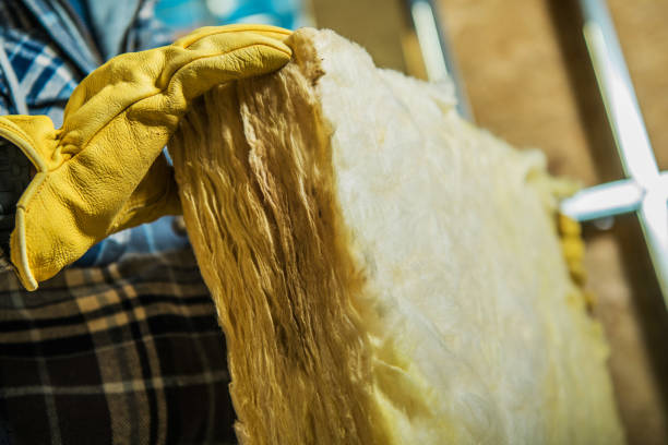 Best Eco-Friendly Insulation in Cuthbert, GA