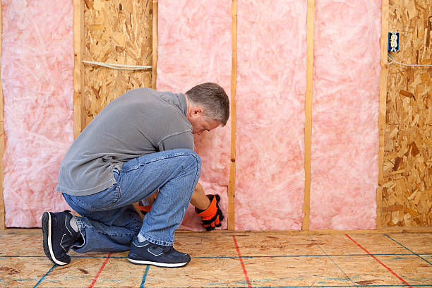 Best Residential Insulation in Cuthbert, GA