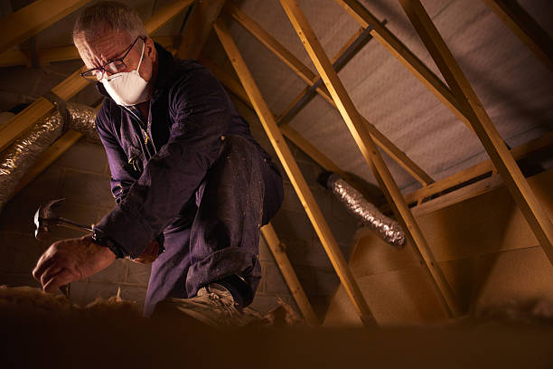 Best Blown-in Insulation in Cuthbert, GA